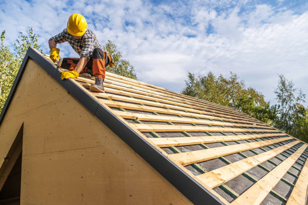 Best Metal Roofing Contractor  in Stoughton, WI