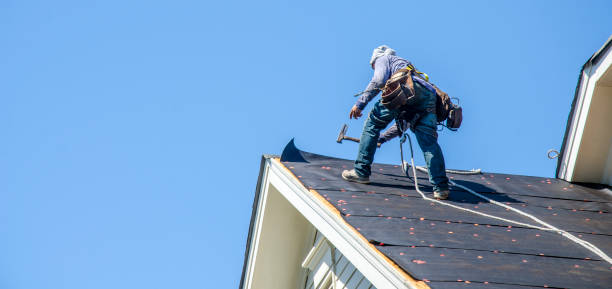 Roof Gutter Cleaning in Stoughton, WI
